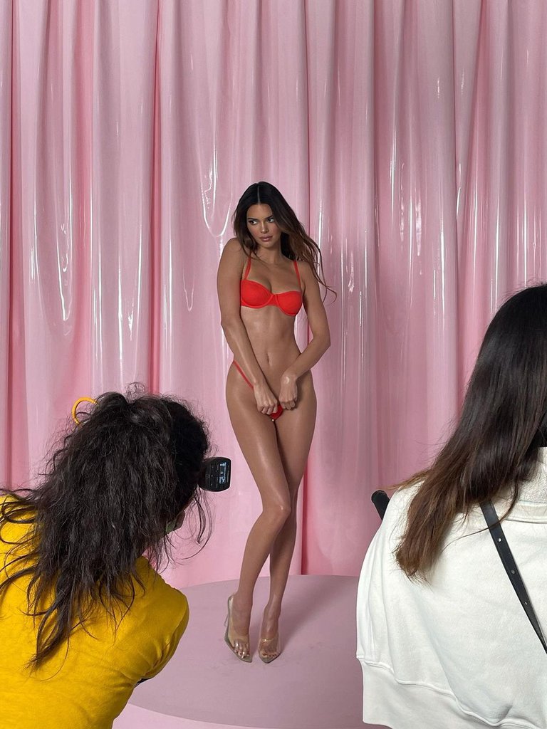 Kendall Jenner posed in lingerie 
