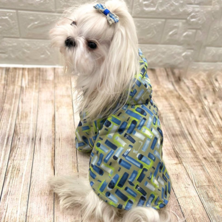 Software modellistica dog fashion
