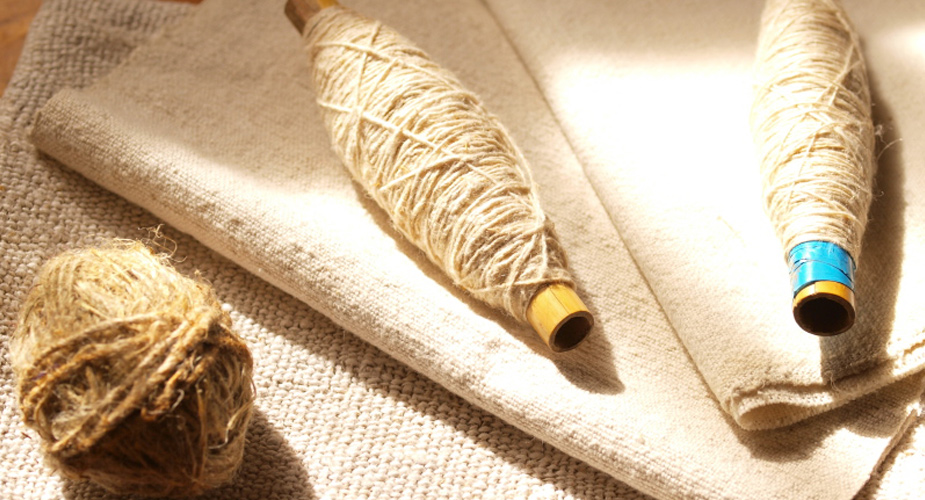Fabricación de tela lino involucra desde la siembra, la cosecha y el secado.