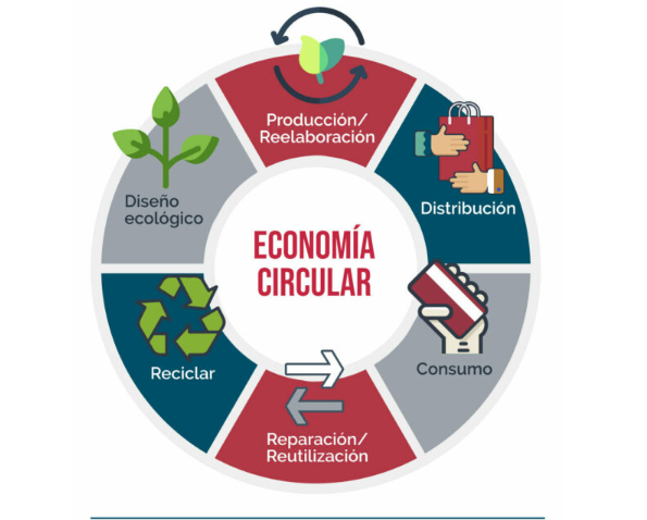 ejemplo de ciclo de la economía circular