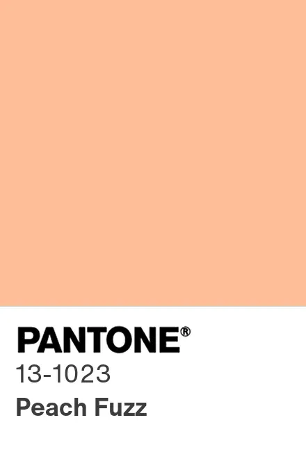 Color del año Pantone Peach Fuzz